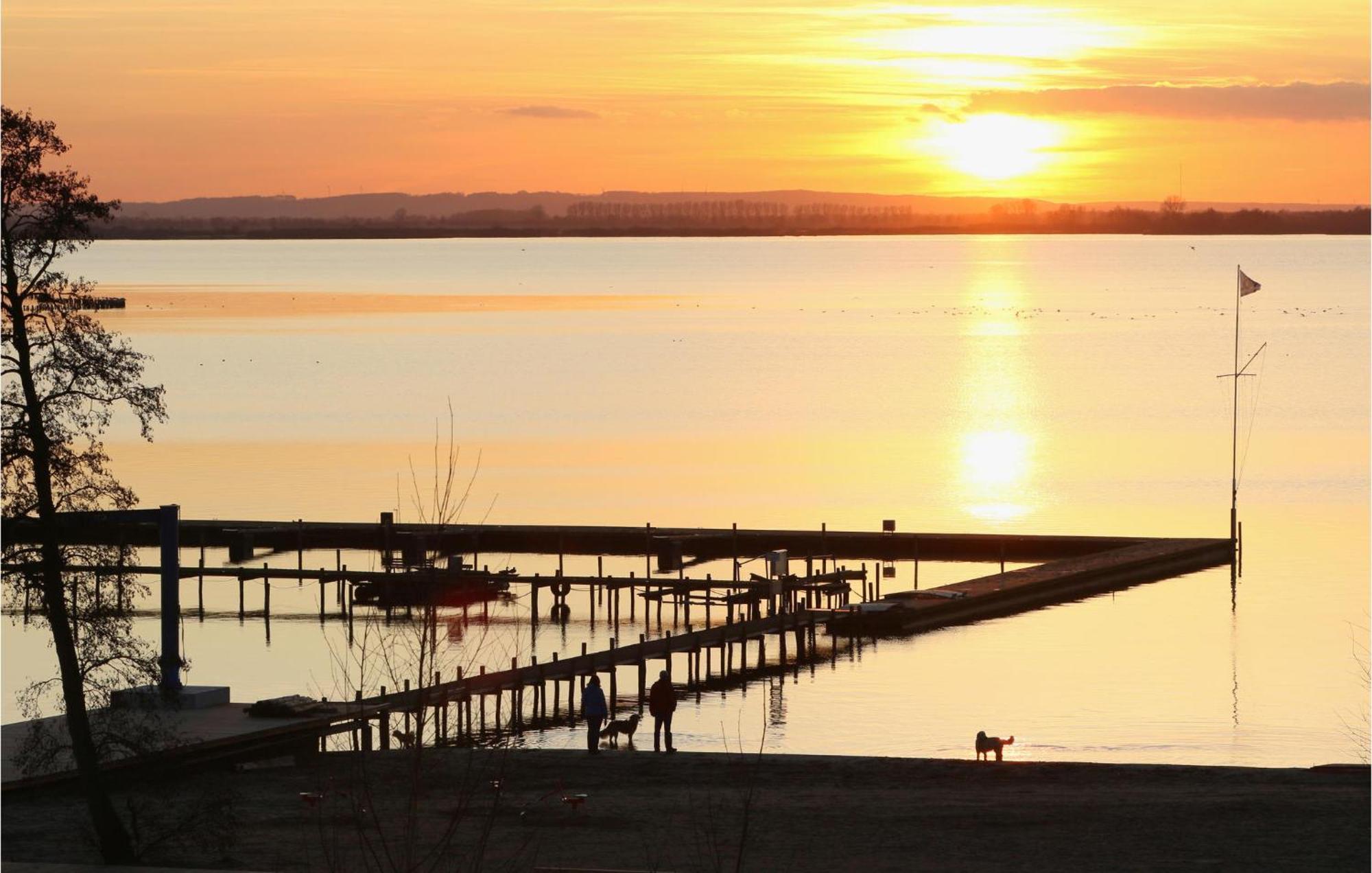 Beach Front Home In Lembruch-Duemmer See With Wifi 외부 사진